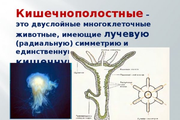 Не работает сайт через тор омг